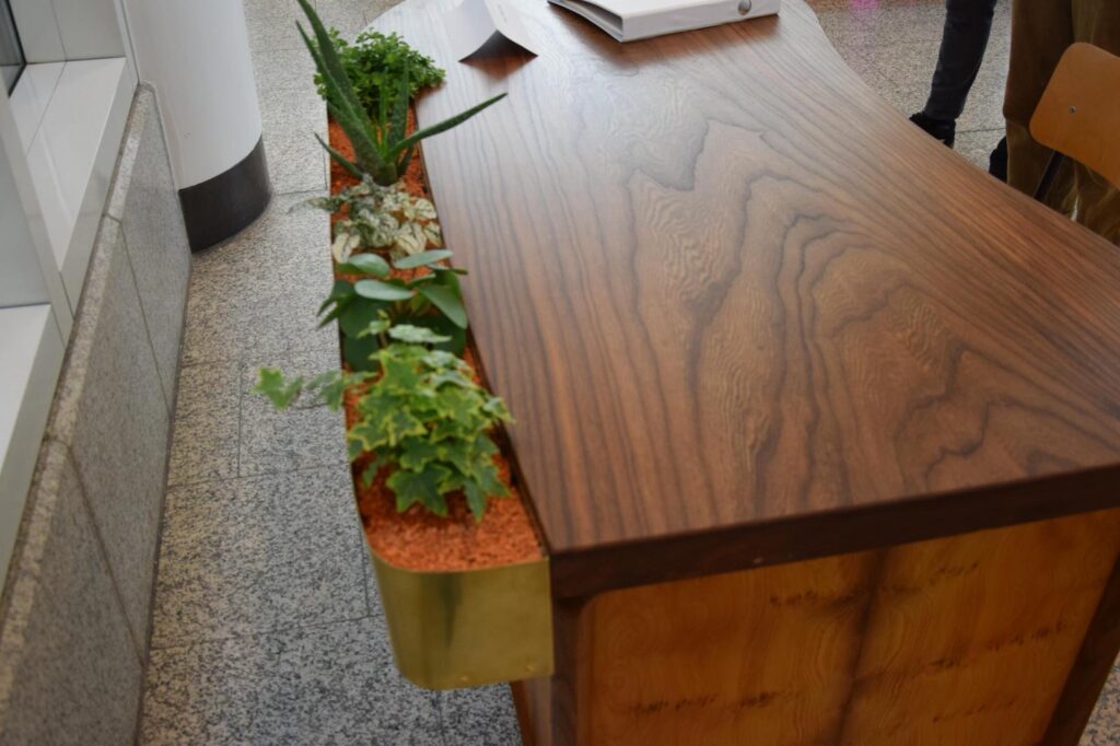 Iepenhout, iepen planken, iepen balken, iepen schaaldelen, iepen wortelhout, iepen wortelnoot, iepen tafelblad, gedroogd iepenhout, gestoomd iepenhout, stadshout, iepen collectie, Ulmeholz, Ulme, Rüstern, Rüsterholz, Ulmenbohlen, Ulmenbretter, Ulmenmaser, Ulmenmaserholz, Ulmentisch, gedämpfte Ulme, kammergetrocknet, Elm wood, Elmwood, Elm lumber, Elm planks, Elm slabs, Elm boards, Elm burl, Elm root, Steamed elm, Kiln dried elm, Urban wood, Bois d'orme, Orme, Plateaux d'orme, Planches d'orme, Loupe d'orme, Orme étuvé, Orme séché, Bois d'orme massif, Madera de olmo, Olmo, Tablones de olmo, Raíz de olmo, Olmo vaporizado, Olmo seco, Legno di olmo, Olmo, Tavole di olmo, Radica di olmo, Olmo evaporato, Olmo essiccato, d'orme de louple, Rüster.