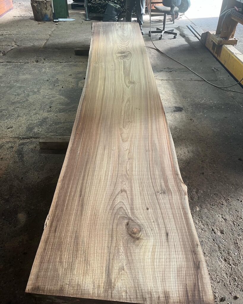 Iepenhout, iepen planken, iepen balken, iepen schaaldelen, iepen wortelhout, iepen wortelnoot, iepen tafelblad, gedroogd iepenhout, gestoomd iepenhout, stadshout, iepen collectie, Ulmeholz, Ulme, Rüstern, Rüsterholz, Ulmenbohlen, Ulmenbretter, Ulmenmaser, Ulmenmaserholz, Ulmentisch, gedämpfte Ulme, kammergetrocknet, Elm wood, Elmwood, Elm lumber, Elm planks, Elm slabs, Elm boards, Elm burl, Elm root, Steamed elm, Kiln dried elm, Urban wood, Bois d'orme, Orme, Plateaux d'orme, Planches d'orme, Loupe d'orme, Orme étuvé, Orme séché, Bois d'orme massif, Madera de olmo, Olmo, Tablones de olmo, Raíz de olmo, Olmo vaporizado, Olmo seco, Legno di olmo, Olmo, Tavole di olmo, Radica di olmo, Olmo evaporato, Olmo essiccato, d'orme de louple, Rüster.