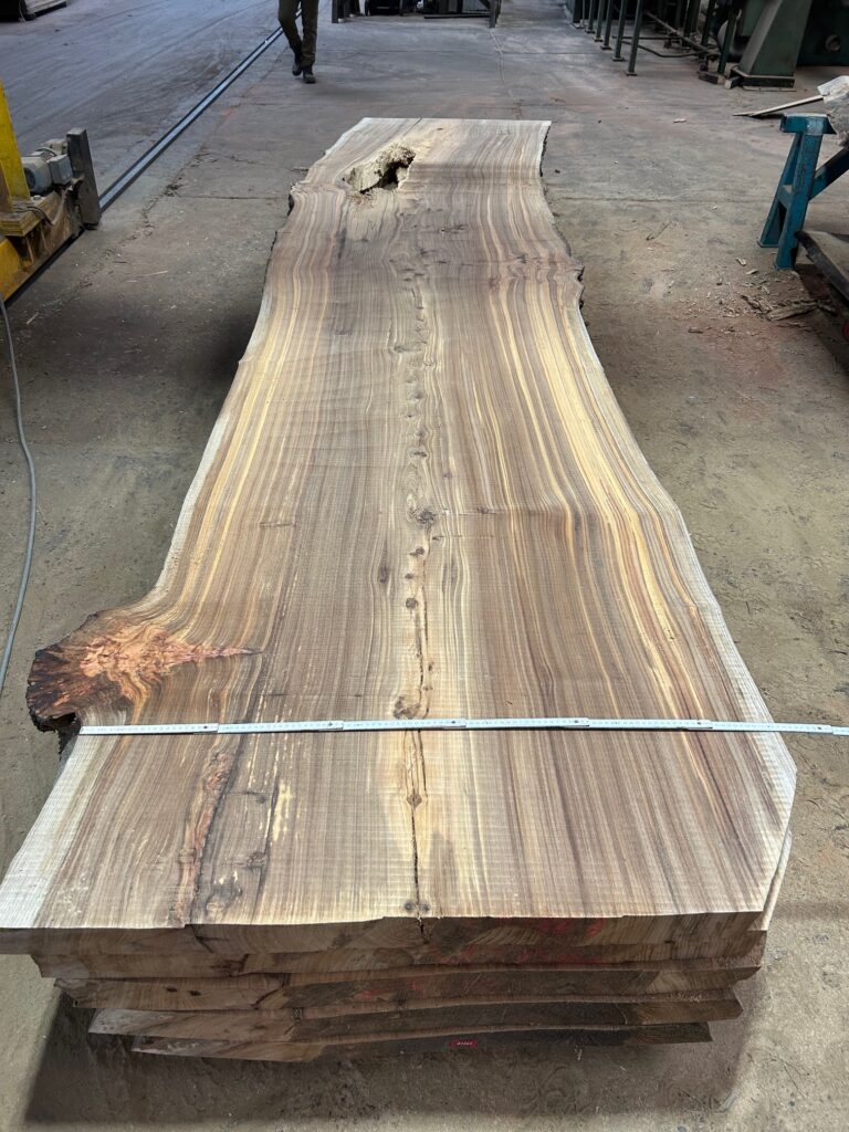 Iepenhout, iepen planken, iepen balken, iepen schaaldelen, iepen wortelhout, iepen wortelnoot, iepen tafelblad, gedroogd iepenhout, gestoomd iepenhout, stadshout, iepen collectie, Ulmeholz, Ulme, Rüstern, Rüsterholz, Ulmenbohlen, Ulmenbretter, Ulmenmaser, Ulmenmaserholz, Ulmentisch, gedämpfte Ulme, kammergetrocknet, Elm wood, Elmwood, Elm lumber, Elm planks, Elm slabs, Elm boards, Elm burl, Elm root, Steamed elm, Kiln dried elm, Urban wood, Bois d'orme, Orme, Plateaux d'orme, Planches d'orme, Loupe d'orme, Orme étuvé, Orme séché, Bois d'orme massif, Madera de olmo, Olmo, Tablones de olmo, Raíz de olmo, Olmo vaporizado, Olmo seco, Legno di olmo, Olmo, Tavole di olmo, Radica di olmo, Olmo evaporato, Olmo essiccato.