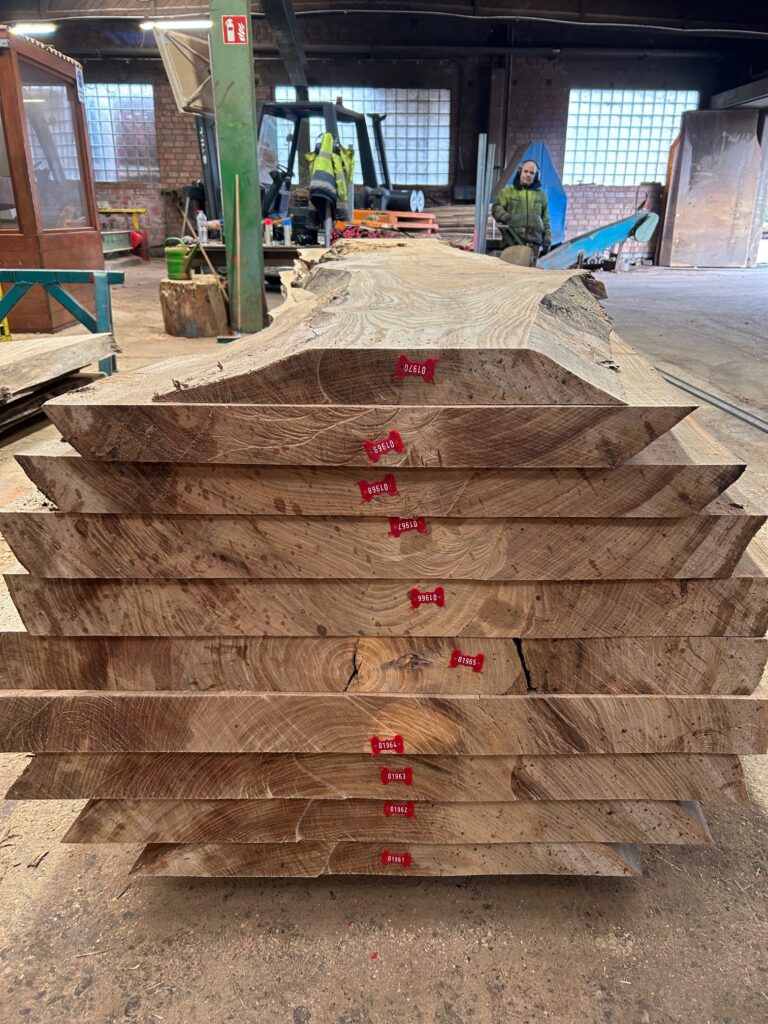 Iepenhout, iepen planken, iepen balken, iepen schaaldelen, iepen wortelhout, iepen wortelnoot, iepen tafelblad, gedroogd iepenhout, gestoomd iepenhout, stadshout, iepen collectie, Ulmeholz, Ulme, Rüstern, Rüsterholz, Ulmenbohlen, Ulmenbretter, Ulmenmaser, Ulmenmaserholz, Ulmentisch, gedämpfte Ulme, kammergetrocknet, Elm wood, Elmwood, Elm lumber, Elm planks, Elm slabs, Elm boards, Elm burl, Elm root, Steamed elm, Kiln dried elm, Urban wood, Bois d'orme, Orme, Plateaux d'orme, Planches d'orme, Loupe d'orme, Orme étuvé, Orme séché, Bois d'orme massif, Madera de olmo, Olmo, Tablones de olmo, Raíz de olmo, Olmo vaporizado, Olmo seco, Legno di olmo, Olmo, Tavole di olmo, Radica di olmo, Olmo evaporato, Olmo essiccato.