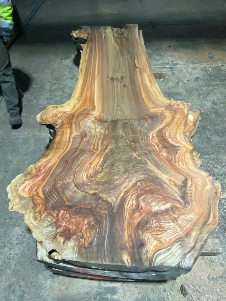 Iepenhout, iepen planken, iepen balken, iepen schaaldelen, iepen wortelhout, iepen wortelnoot, iepen tafelblad, gedroogd iepenhout, gestoomd iepenhout, stadshout, iepen collectie, Ulmeholz, Ulme, Rüstern, Rüsterholz, Ulmenbohlen, Ulmenbretter, Ulmenmaser, Ulmenmaserholz, Ulmentisch, gedämpfte Ulme, kammergetrocknet, Elm wood, Elmwood, Elm lumber, Elm planks, Elm slabs, Elm boards, Elm burl, Elm root, Steamed elm, Kiln dried elm, Urban wood, Bois d'orme, Orme, Plateaux d'orme, Planches d'orme, Loupe d'orme, Orme étuvé, Orme séché, Bois d'orme massif, Madera de olmo, Olmo, Tablones de olmo, Raíz de olmo, Olmo vaporizado, Olmo seco, Legno di olmo, Olmo, Tavole di olmo, Radica di olmo, Olmo evaporato, Olmo essiccato.